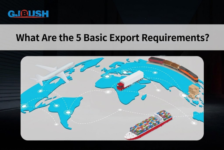 What Are the 5 Basic Export Requirements?